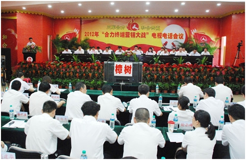 集團(tuán)公司召開全國營銷電視電話會議